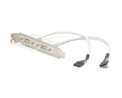 USBPLATE Adaptador de Placa USB A Hembra de 2 puertos StarTech.com